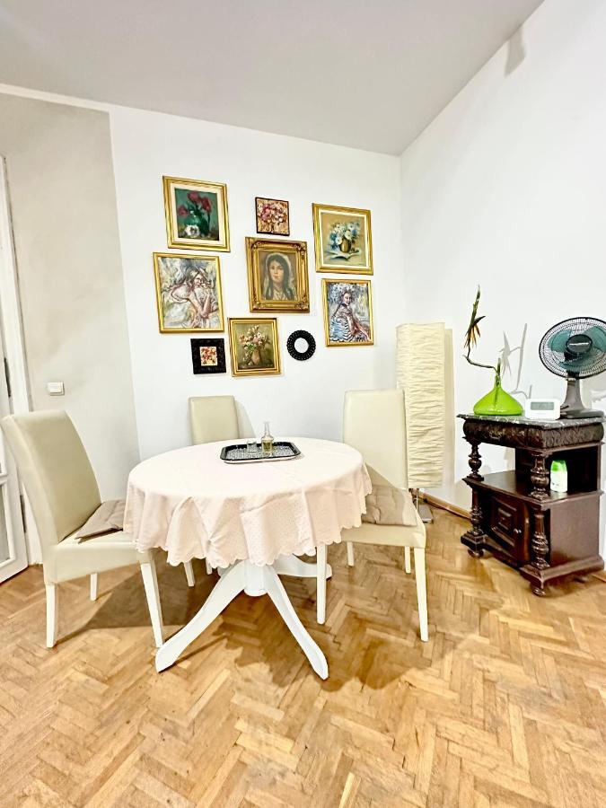 Charming Apartament City Center Timisoara Ngoại thất bức ảnh