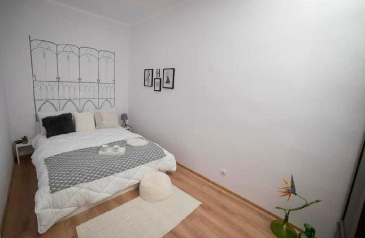 Charming Apartament City Center Timisoara Ngoại thất bức ảnh