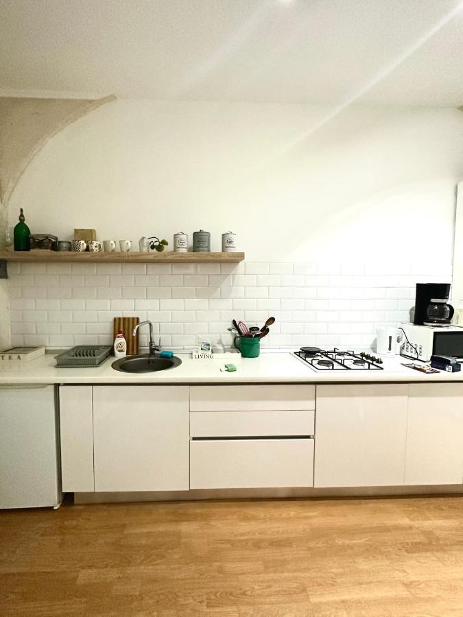 Charming Apartament City Center Timisoara Ngoại thất bức ảnh