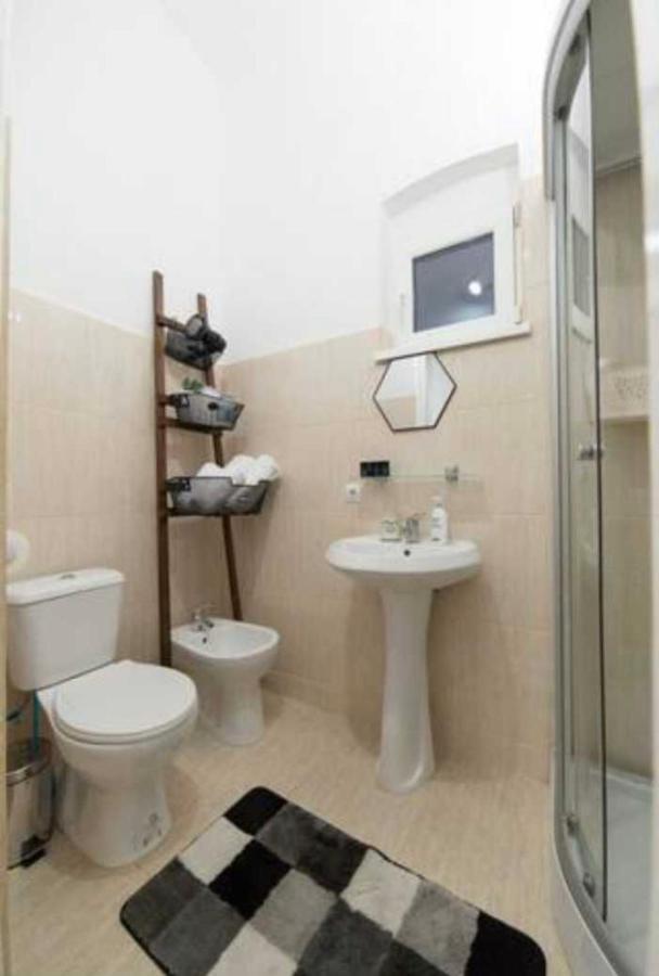 Charming Apartament City Center Timisoara Ngoại thất bức ảnh